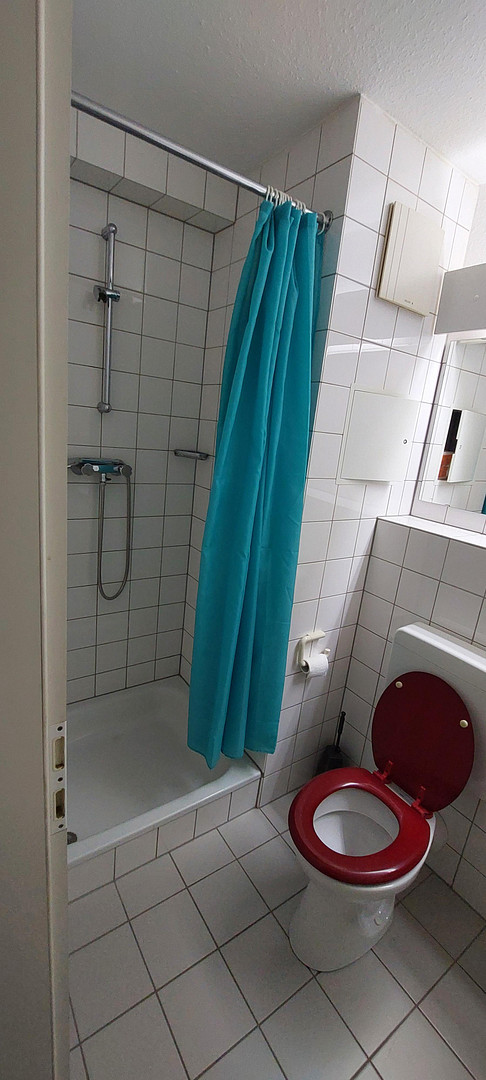 1 Zimmer Wohnung in Saarbrücken - nähe Uni – Saarbrücken(Scheidt) – Vorschaubild 5