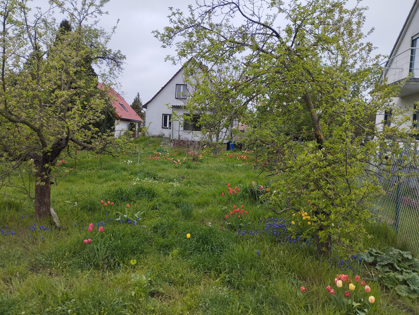 Einfamilienhaus Grundstück 1019m2