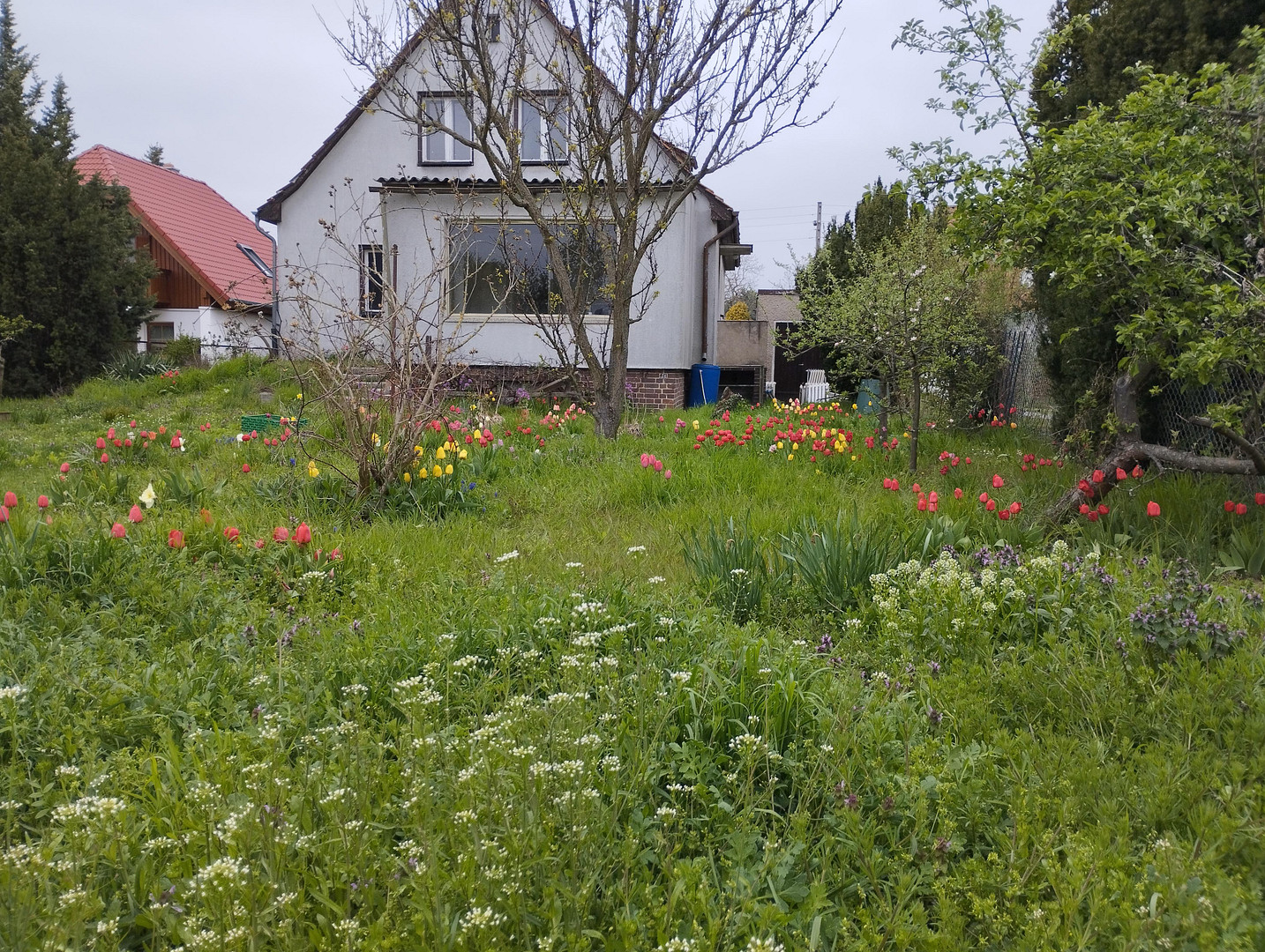 Einfamilienhaus Grundstück 1019m2 – Wacholderheide 50, 12623 Berlin Mahlsdorf Nord(Mahlsdorf) – Vorschaubild 4