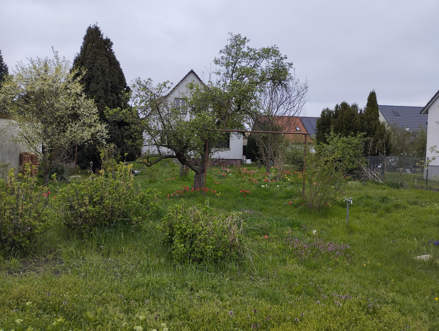 Einfamilienhaus Grundstück 1019m2 – Wacholderheide 50, 12623 Berlin Mahlsdorf Nord(Mahlsdorf) – Vorschaubild 5
