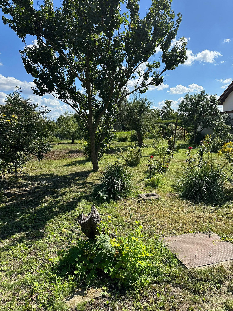 Einfamilienhaus Grundstück 1019m2 – Wacholderheide 50, 12623 Berlin Mahlsdorf Nord(Mahlsdorf) – Vorschaubild 12