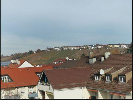 Lichtblick über Cannstatt: Stilvolle Jugendstil-Wohnung am Kurpark mit Neckartal-Aussicht – Stuttgart(Bad Cannstatt) – Vorschaubild 13