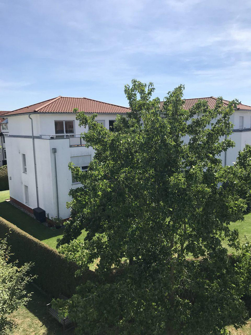 Modernes 4-Zimmer-Penthouse mit großer Dachterrasse und 2 Tiefgaragenstellplätzen – Jourdanallee 7, 64546 Mörfelden-Walldorf(Walldorf) – Vorschaubild 10