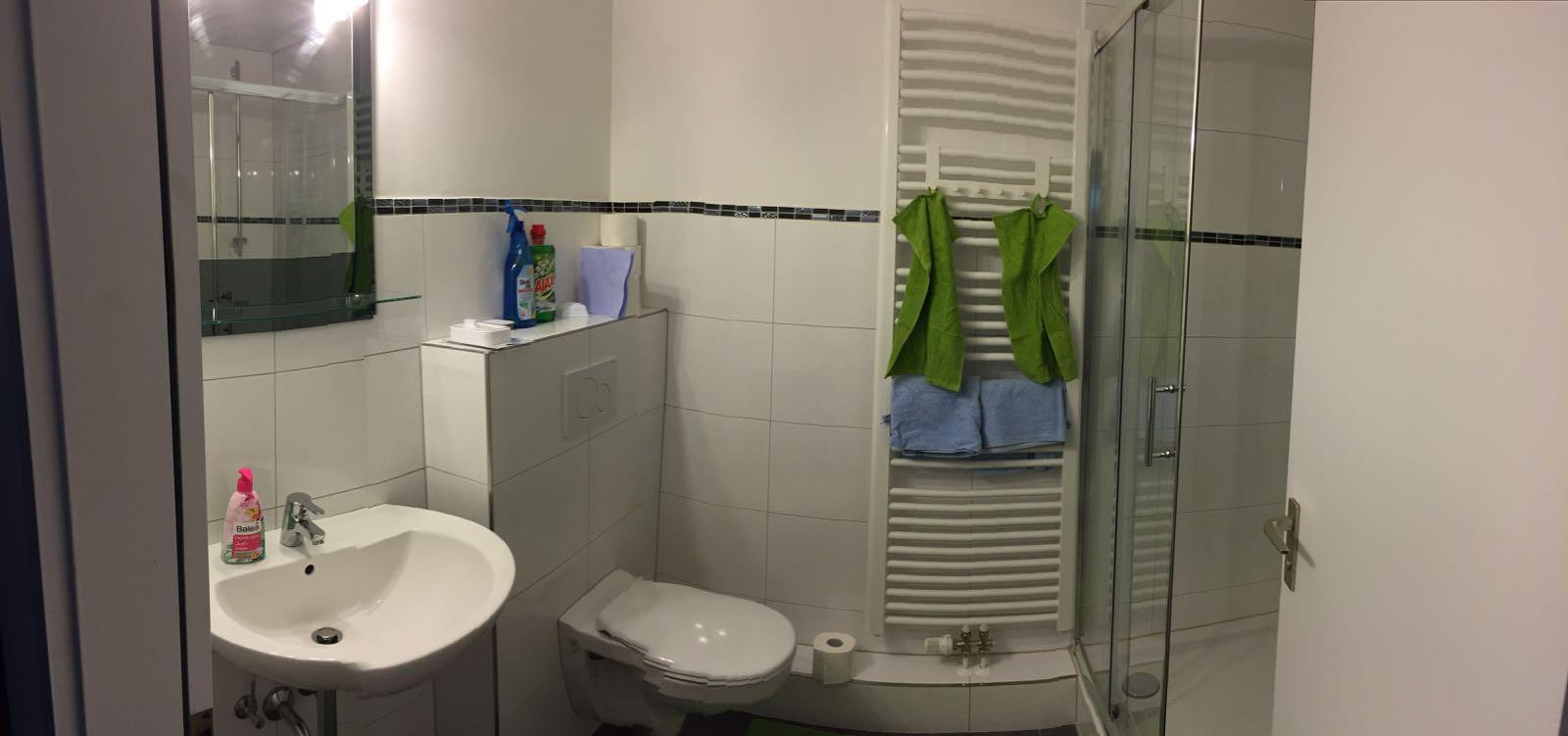 Kapitalanlage in Top-Lage Heidelberg – Vermietete 2-Zi. ETW mit Balkon & Tiefgarage – Blücherstraße 3, 69115 Heidelberg(Bergheim) – Vorschaubild 3