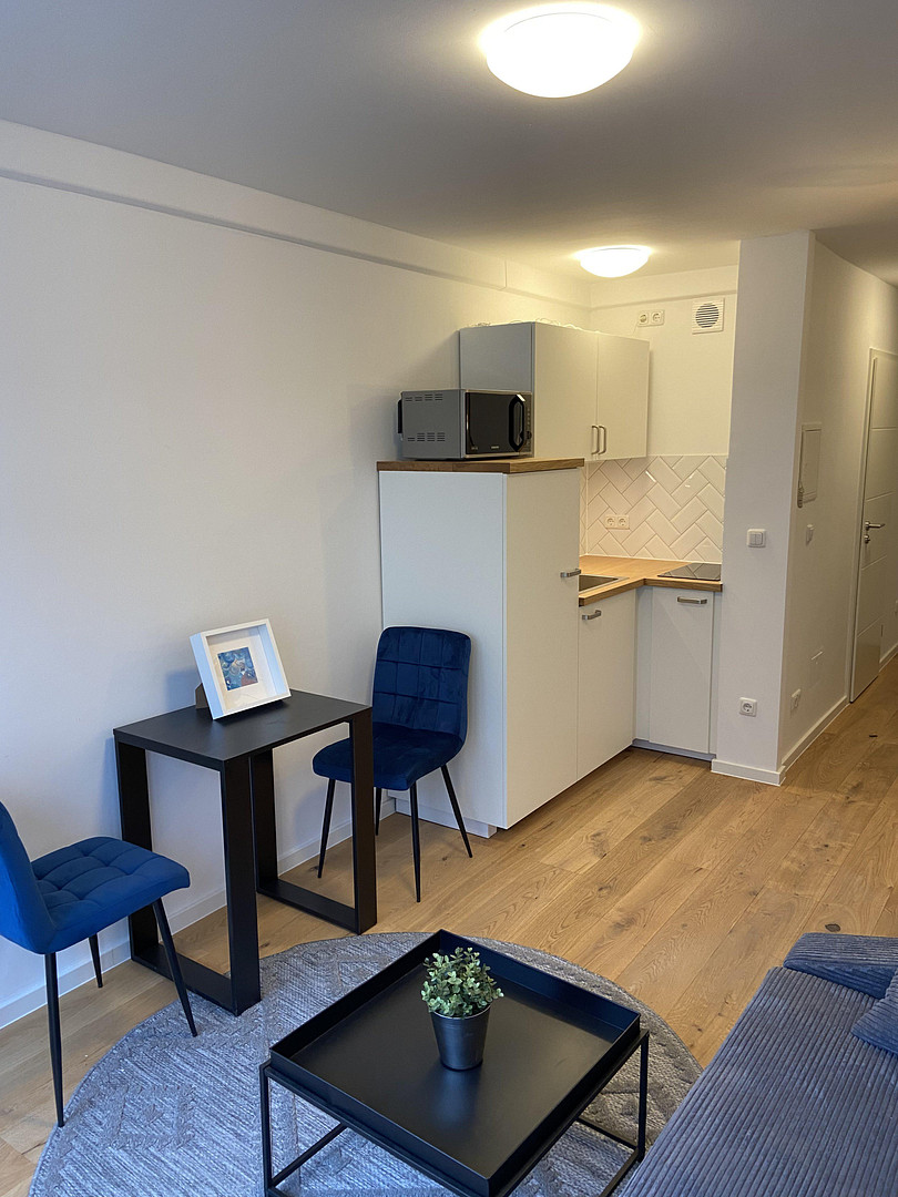 Erstbezug! Stilvoll sanierte 1-Zimmer-Wohnung – lichtdurchflutet in Bestlage! – Türkenstraße 80, 80799 München(Maxvorstadt) – Vorschaubild 5