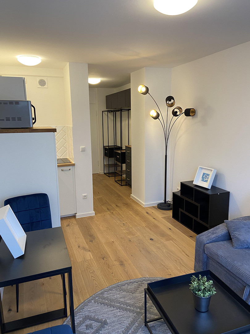 Erstbezug! Stilvoll sanierte 1-Zimmer-Wohnung – lichtdurchflutet in Bestlage! – Türkenstraße 80, 80799 München(Maxvorstadt) – Vorschaubild 7