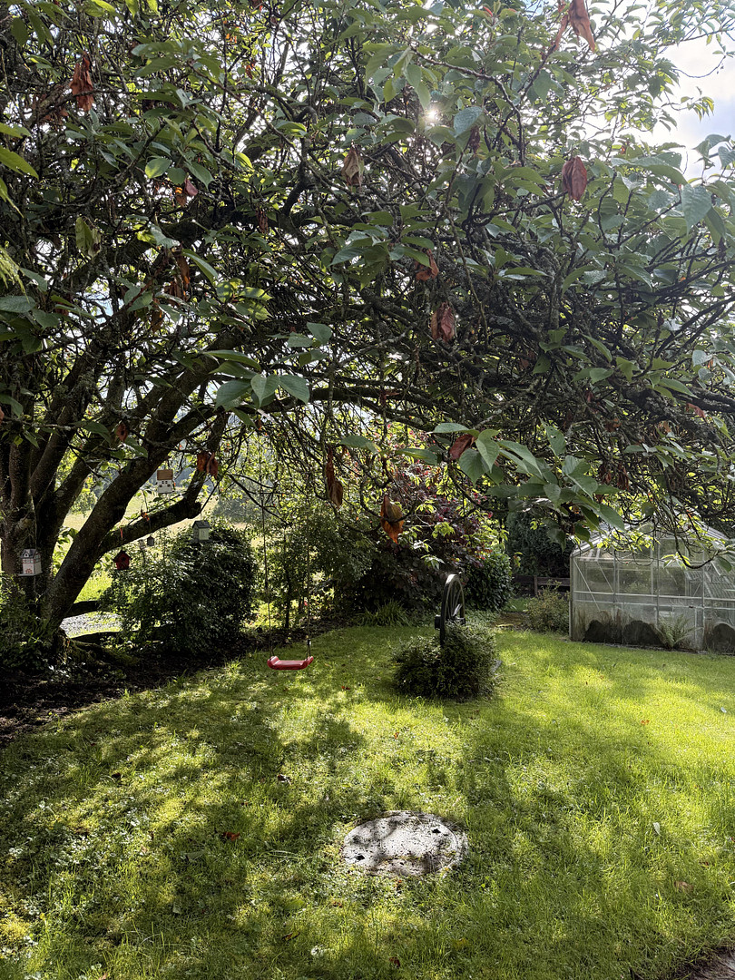 Gepflegtes Einfamilienhaus mit EBK, Balkon, schön angelegtem Garten und Aussicht – Waldbröl(Biebelshof) – Vorschaubild 7