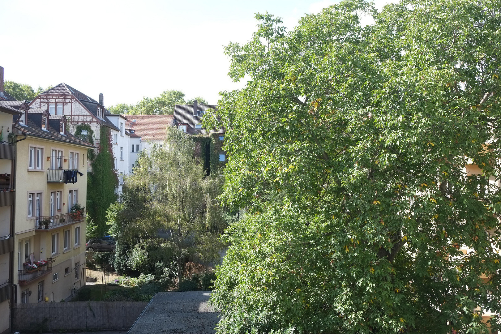 Sehr schöne, helle 2 Zi-Whg mit Balkon und EBK ab sofort von privat zu vermieten – Mannheim – Vorschaubild 8