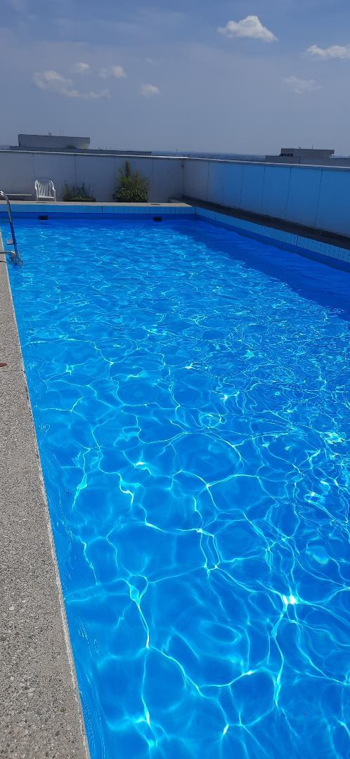 100 m2 mit Alpenblick und Schwimmbad in Bestlage – München(Bogenhausen) – Vorschaubild 8
