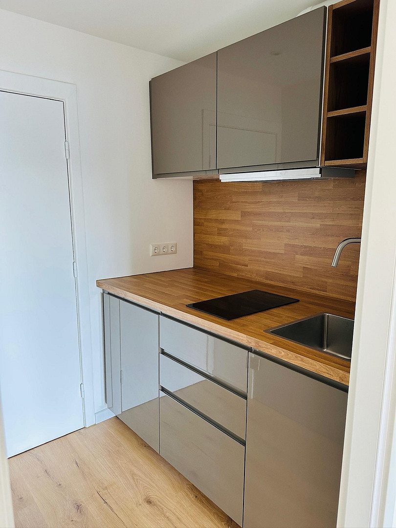 Alsterblick vom Süd-West-Balkon – Hamburg(Uhlenhorst) – Vorschaubild 5