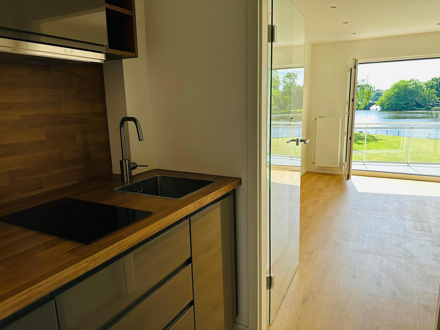 Alsterblick vom Süd-West-Balkon – Hamburg(Uhlenhorst) – Vorschaubild 6