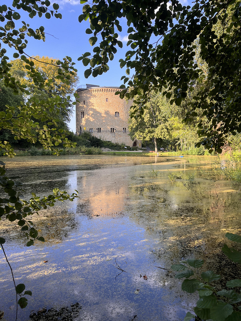 Neuwertige und stilvolle Altbauwohnung, im Herzen von Goslar! – Goslar – Vorschaubild 18