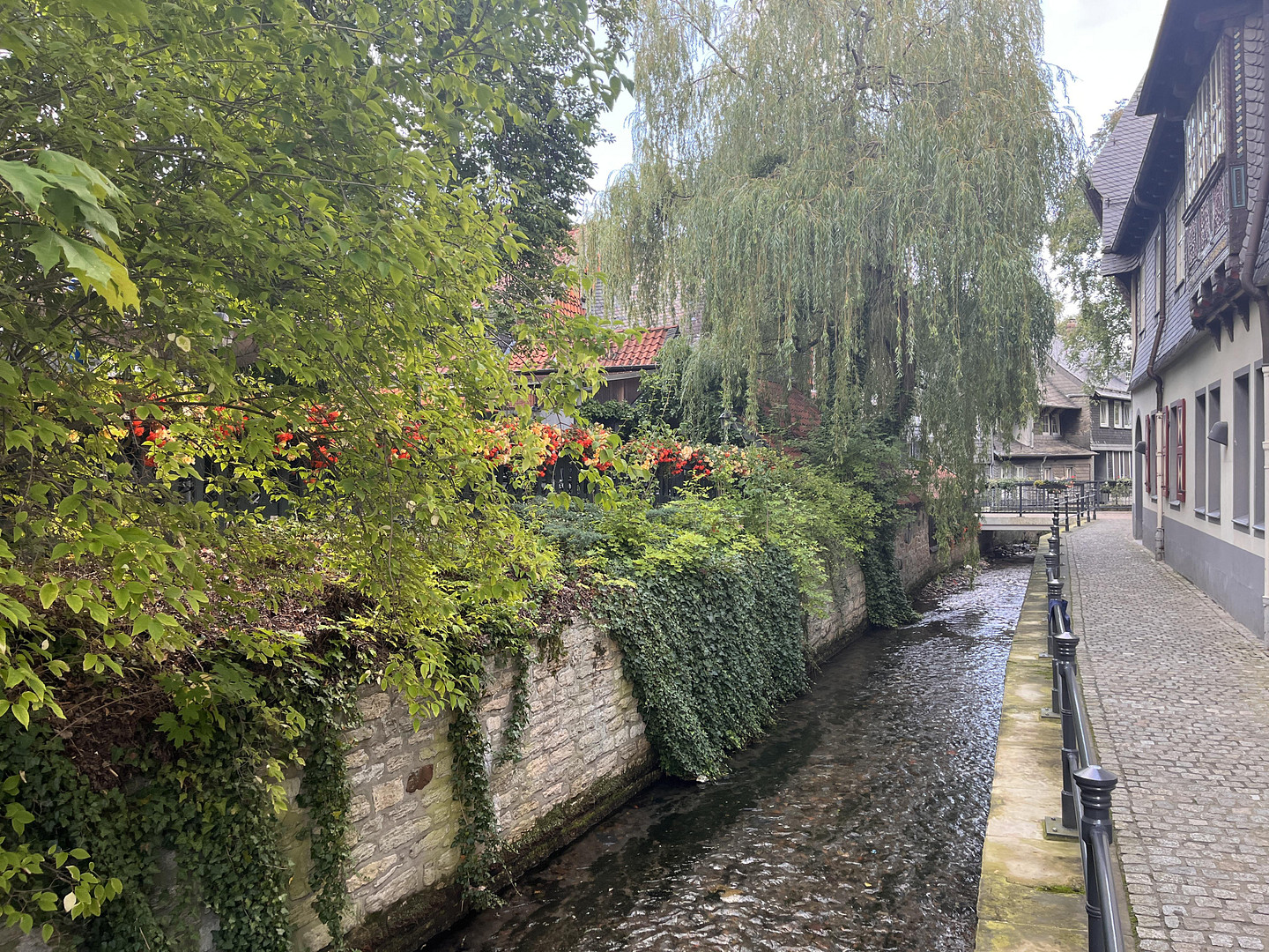 Neuwertige und stilvolle Altbauwohnung, im Herzen von Goslar! – Goslar – Vorschaubild 15