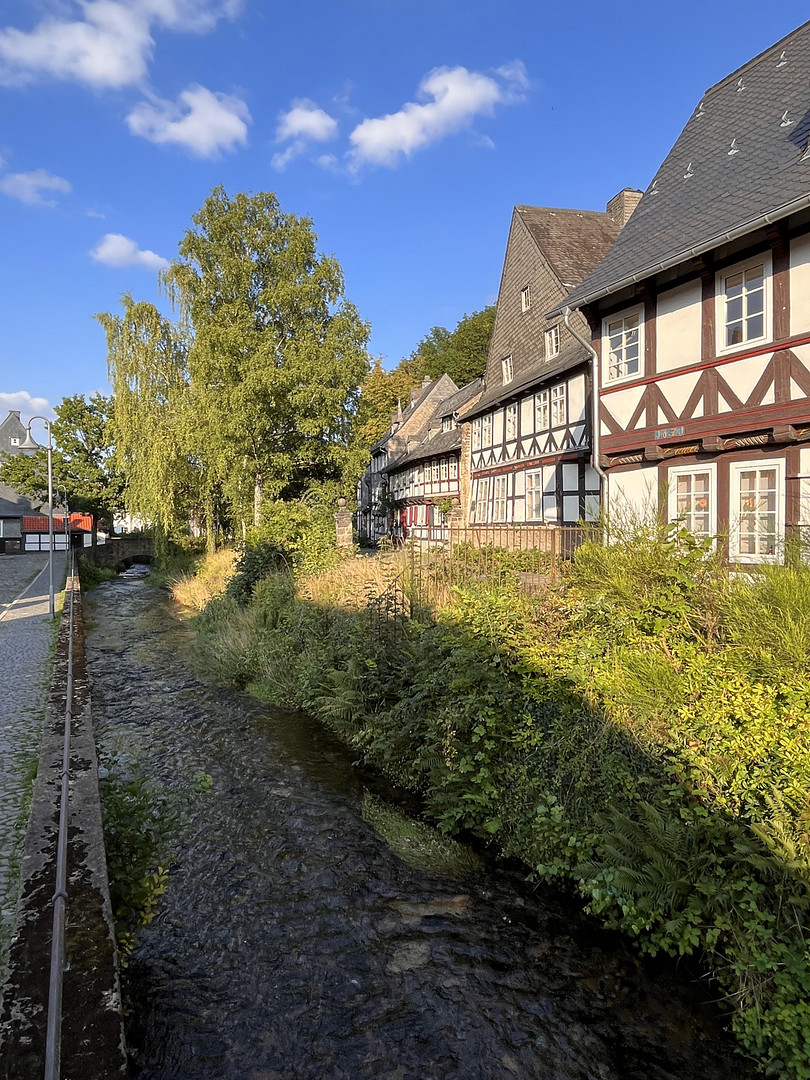Neuwertige und stilvolle Altbauwohnung, im Herzen von Goslar! – Goslar – Vorschaubild 20