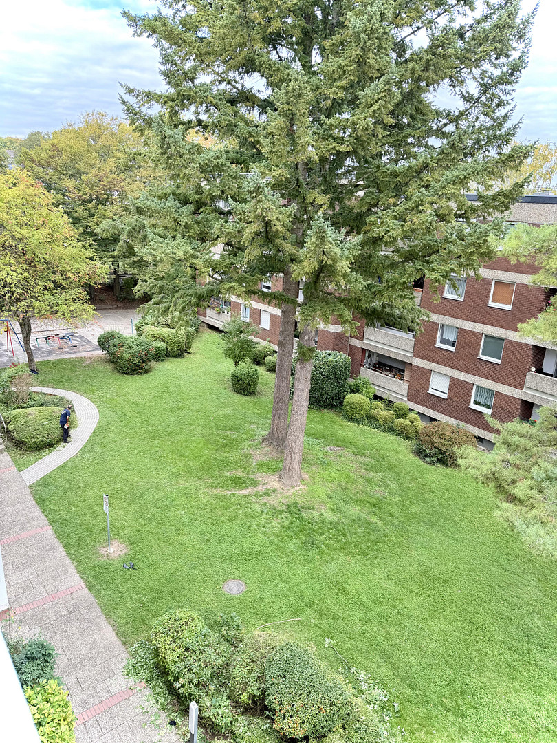 Einzugsbereit und Provisionsfrei * Sonnendurchflutete 2-Zi.-Whg. Stellplatz / sonnig. Balkon – Frank-Wedekind-Straße, 65201 Wiesbaden – Vorschaubild 14