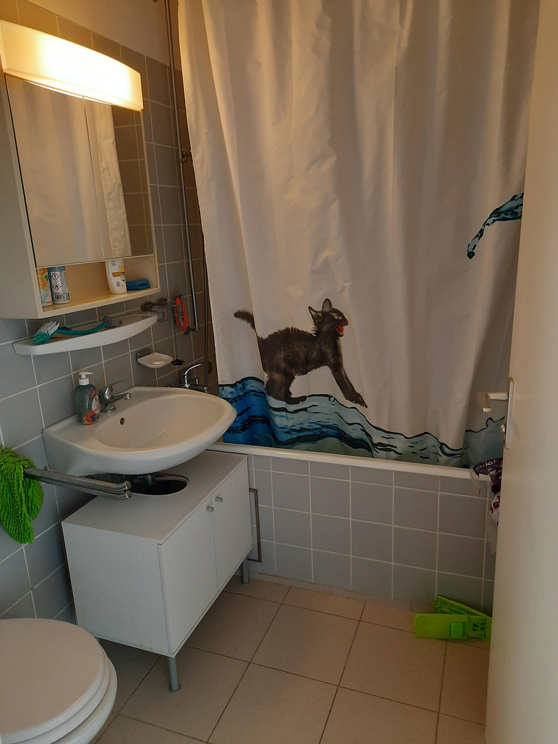 1-Zimmer-Apartment mit Weitblick – München(Bogenhausen) – Vorschaubild 7