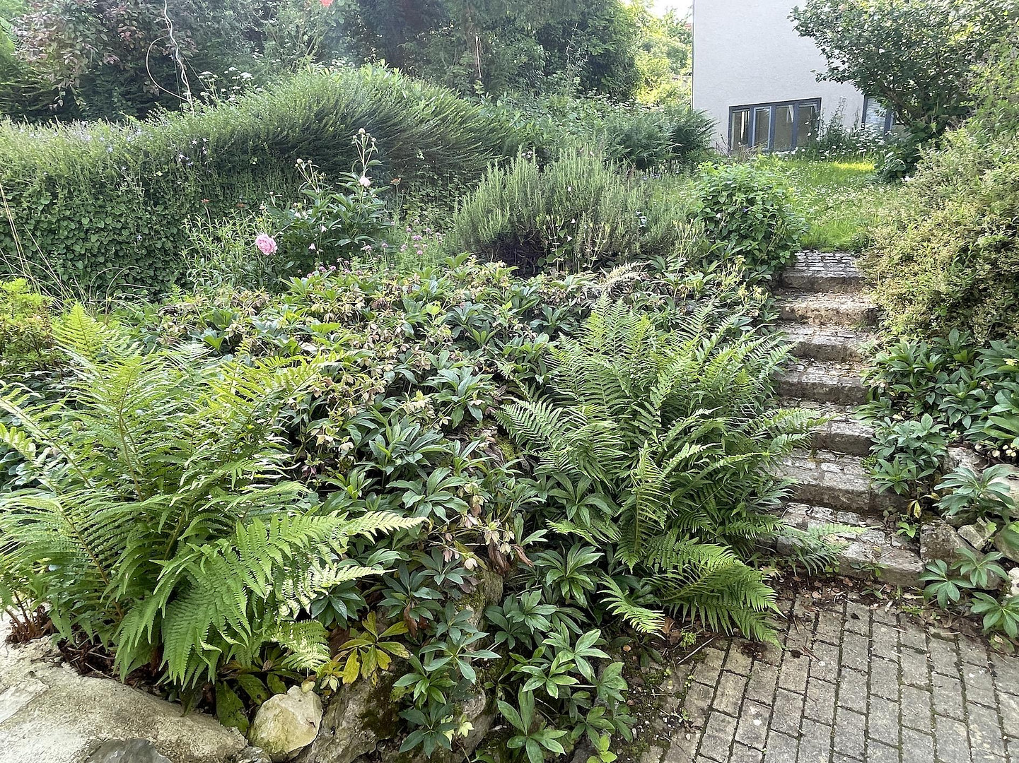 Meersburg, helle 3-Zi-Wohnung mit Garten – Klingleweg 8, 88709 Meersburg – Vorschaubild 12