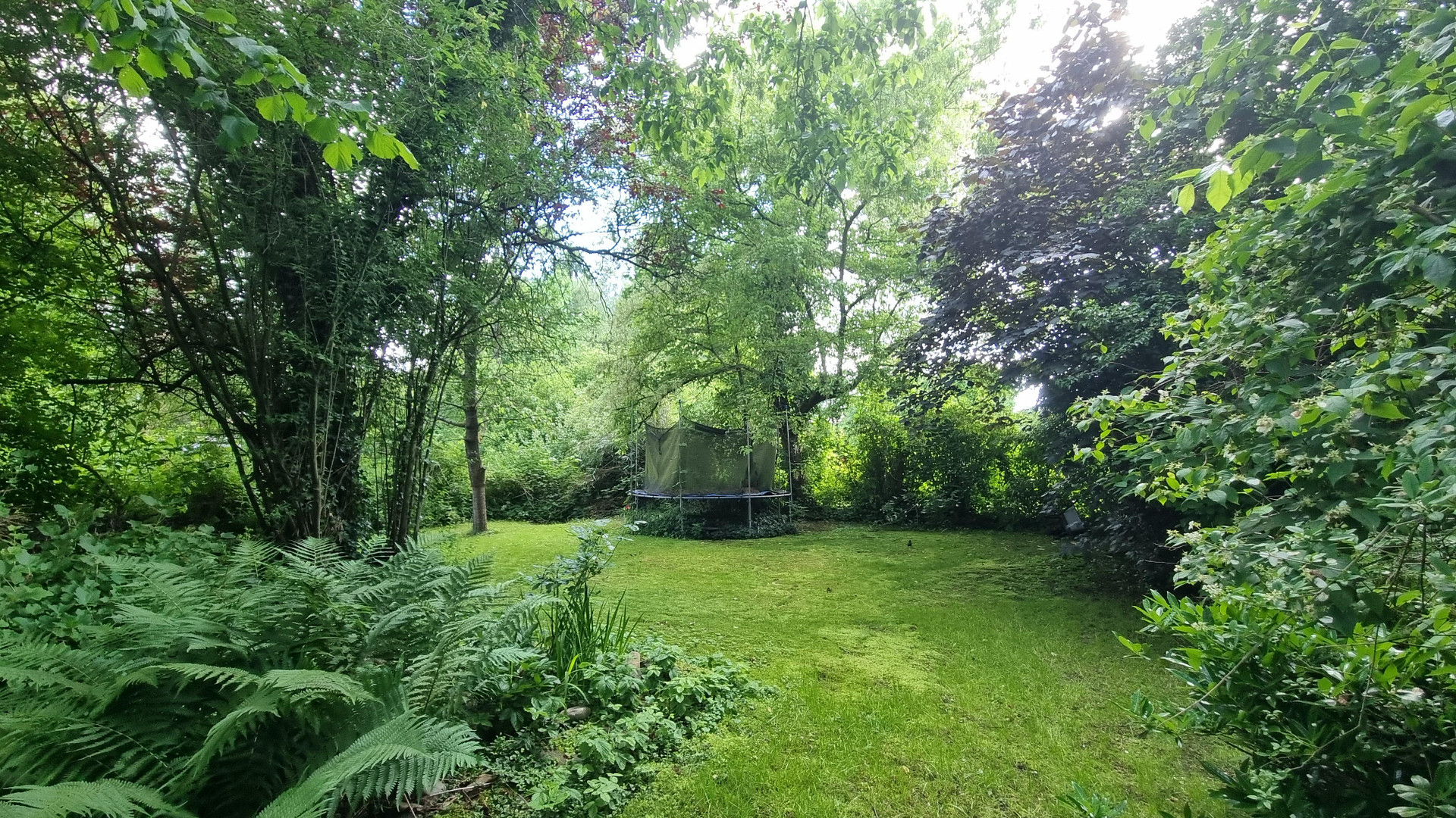 Grüne Oase in urbaner Lage in Hamburg Niendorf - 960 m2 direkt an der U2 (ohne Makler) – 22459 Hamburg(Niendorf) – Vorschaubild 5