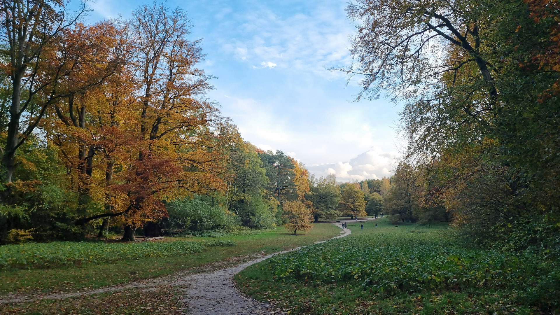 Grüne Oase in urbaner Lage in Hamburg Niendorf - 960 m2 direkt an der U2 (ohne Makler) – 22459 Hamburg(Niendorf) – Vorschaubild 17