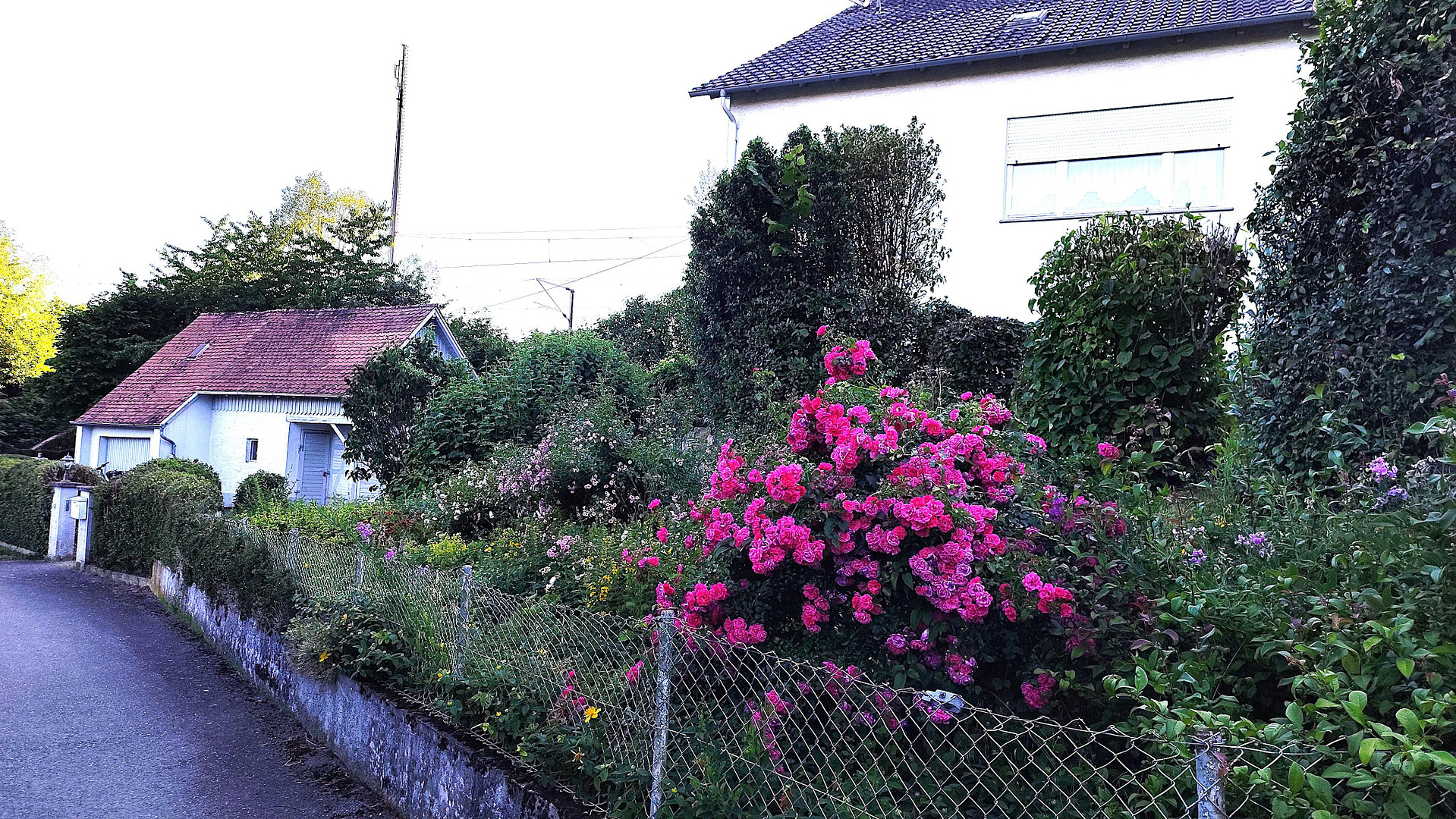 Ehemaliges Bahnwärterhaus in einmaliger Lage – Kirchheim am Neckar – Vorschaubild 28