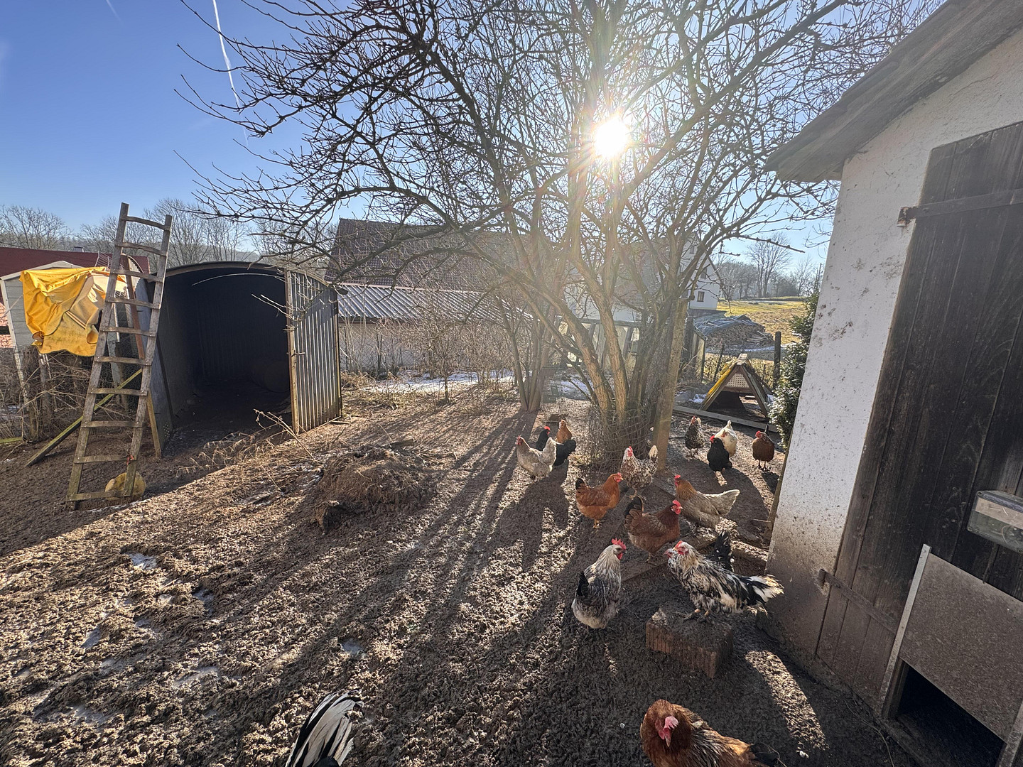 Einfamilienhaus/Bauernhaus mit Werkstatt, großem Grundstück, Scheune & Stall – Wappeltshofen 4, 90518 Altdorf b. Nürnberg(Wappeltshofen) – Vorschaubild 16