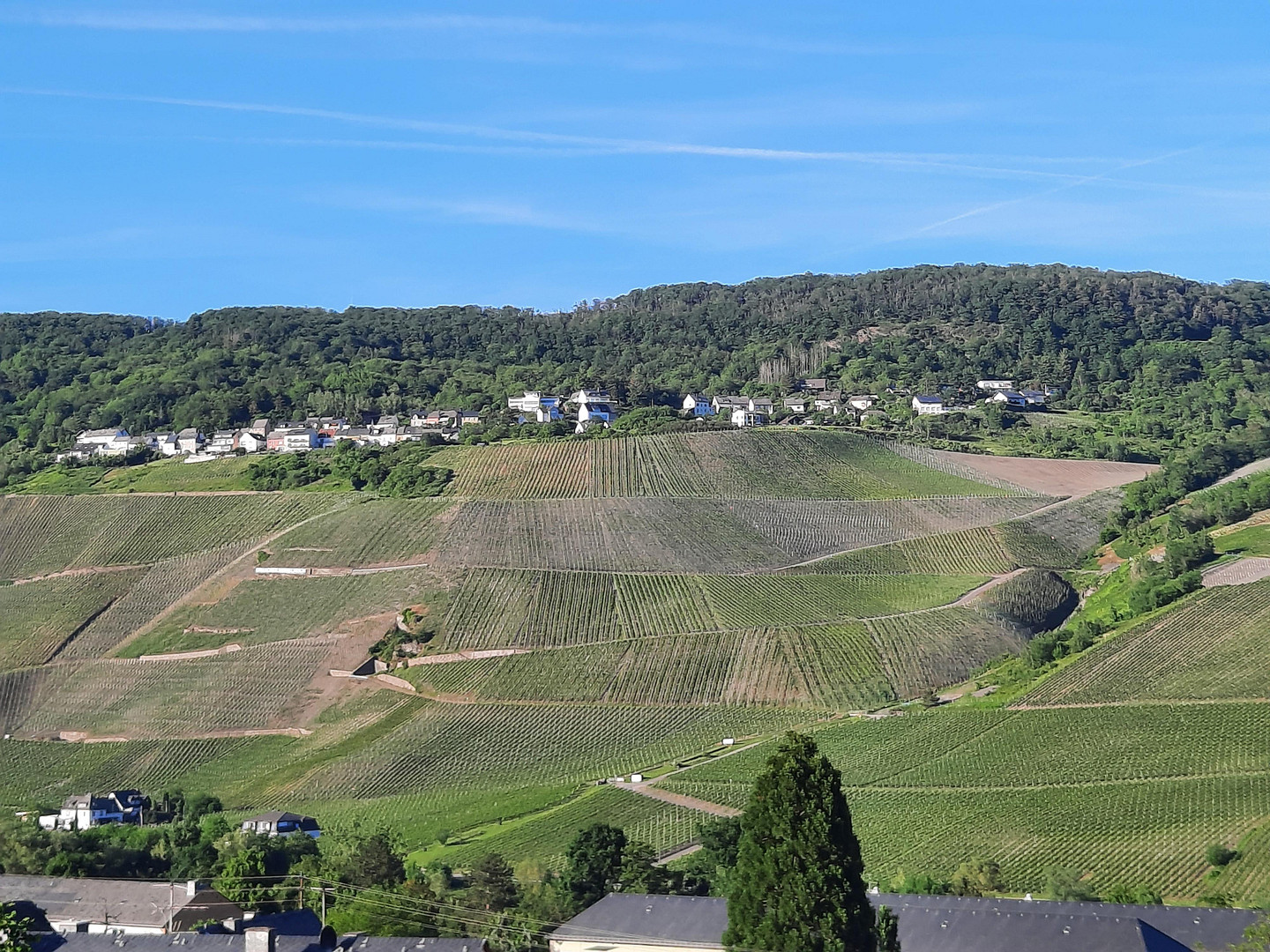 Wohnung zum Kauf – Bernkastel-Kues(Kues) – Vorschaubild 3