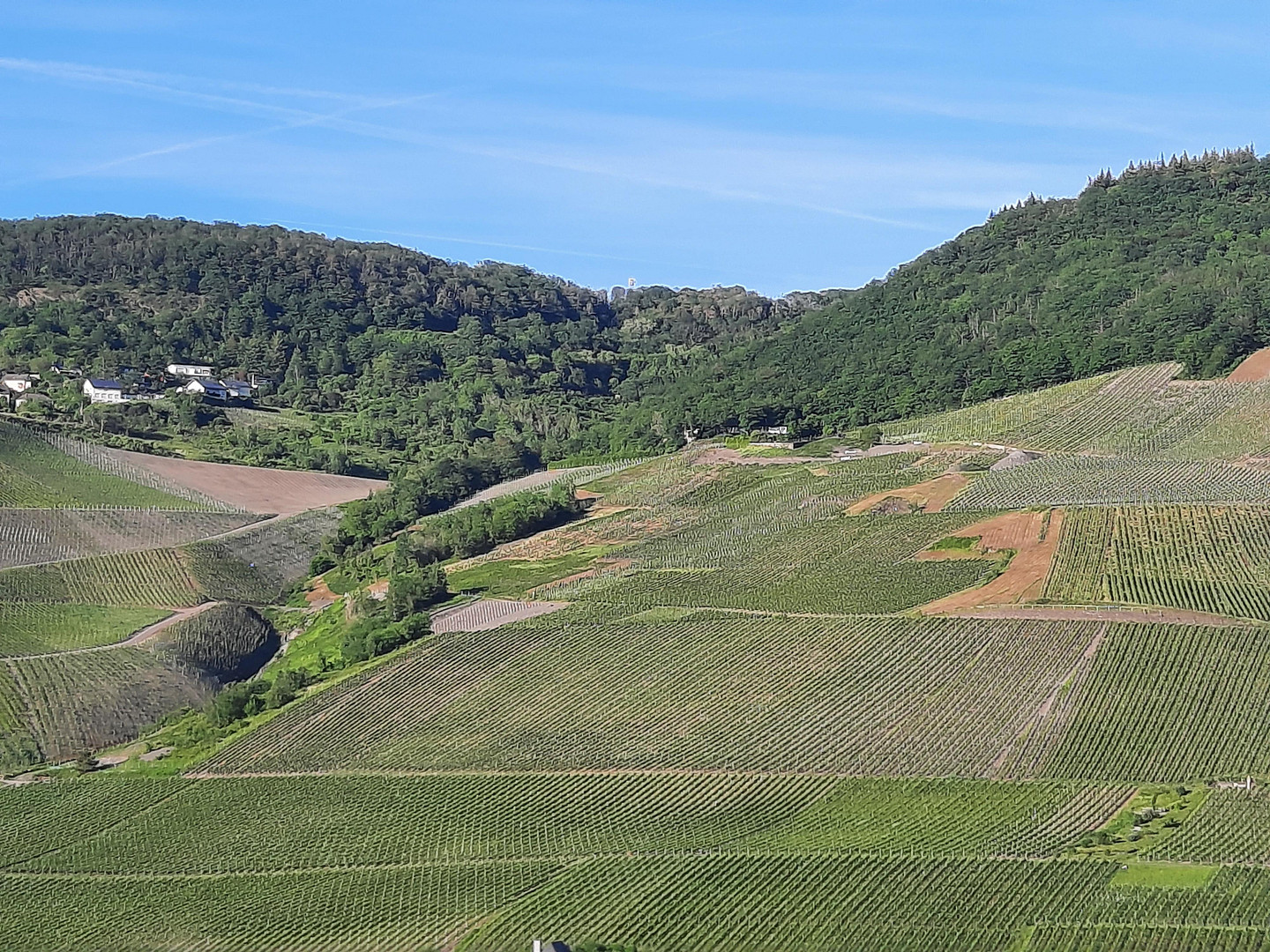 Wohnung zum Kauf – Bernkastel-Kues(Kues) – Vorschaubild 2