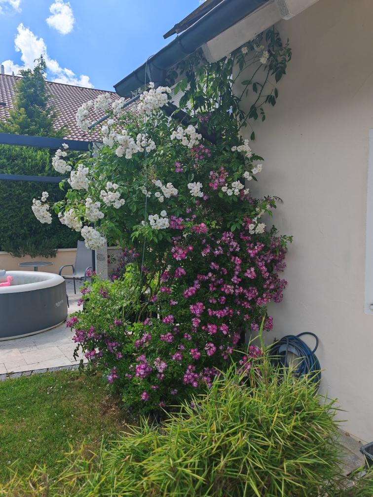 Premium-Einfamilienhaus mit Panoramablick, bezugsbereit nur ca. 100 km von München  "Provisionsfrei" – Am Weinberg 20, 84183 Niederviehbach – Vorschaubild 40