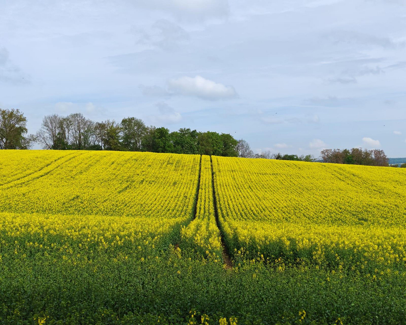 Premium-Einfamilienhaus mit Panoramablick, bezugsbereit nur ca. 100 km von München  "Provisionsfrei" – Am Weinberg 20, 84183 Niederviehbach – Vorschaubild 3