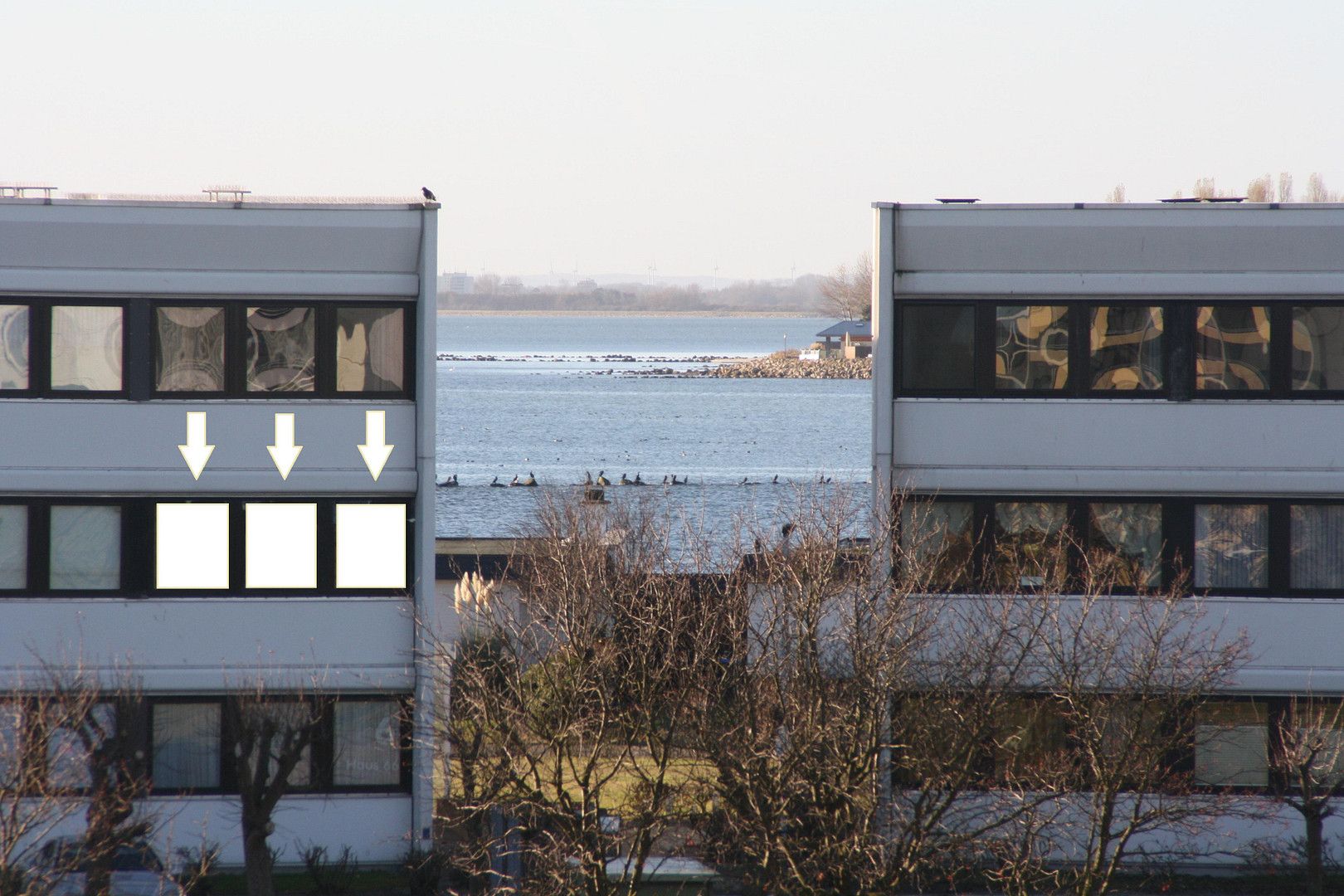 Modernisierte Ferienwohnung am Yachthafen Burgtiefe auf Fehmarn Maklerfrei! – Stranddistelweg 6, 23769 Fehmarn(Burgtiefe) – Vorschaubild 43