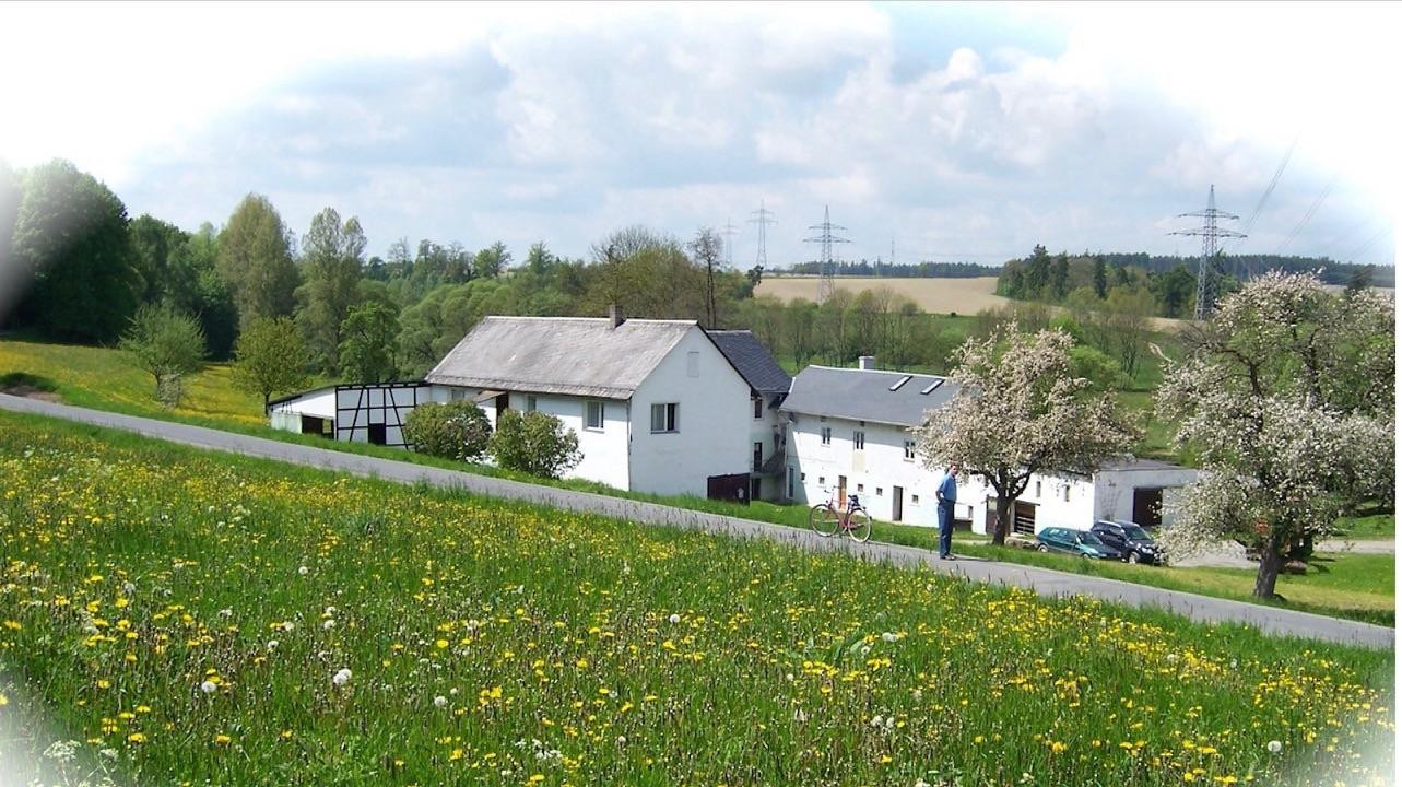 Glücksmühle-ehem. Wassermühle in herrlicher Lage, ohne Provision, kein Denkmalschutz – Schleiz – Vorschaubild 2