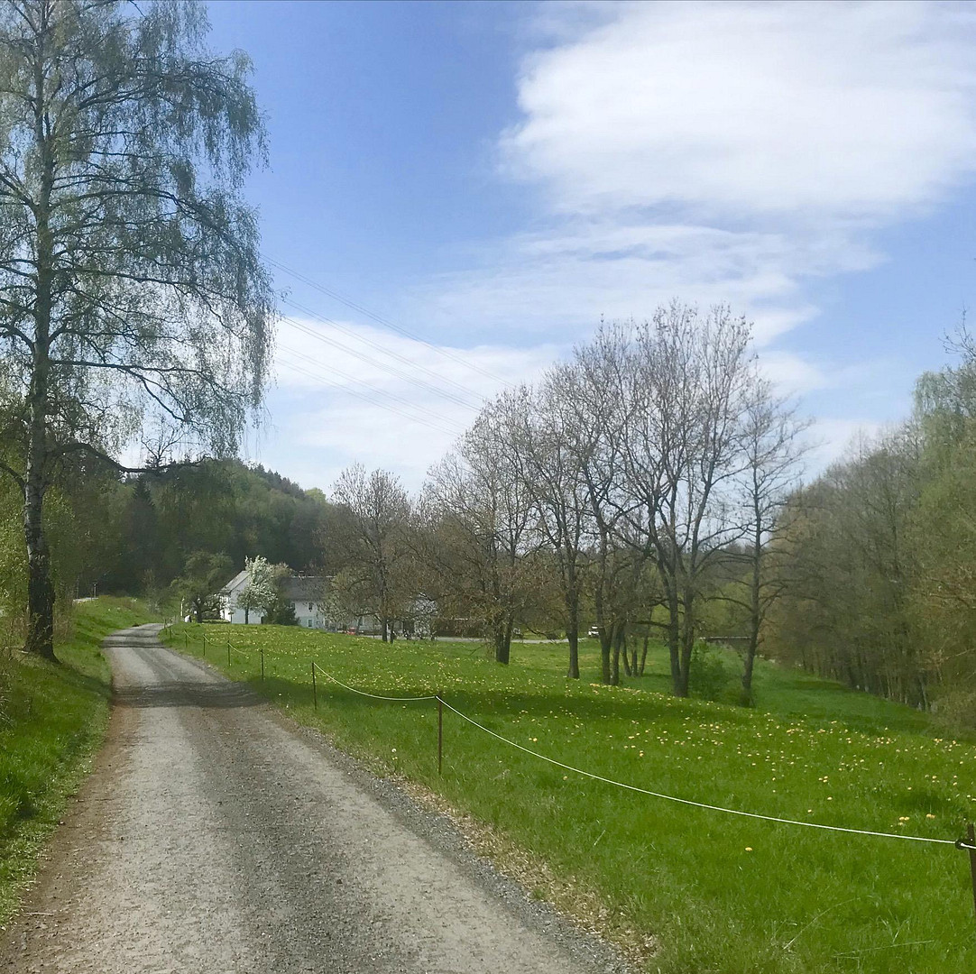 Glücksmühle-ehem. Wassermühle in herrlicher Lage, ohne Provision, kein Denkmalschutz – Schleiz – Vorschaubild 3
