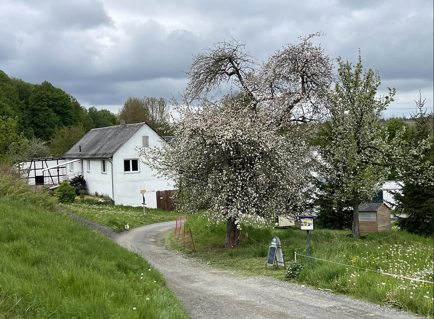 Glücksmühle-ehem. Wassermühle in herrlicher Lage, ohne Provision, kein Denkmalschutz – Schleiz – Vorschaubild 4
