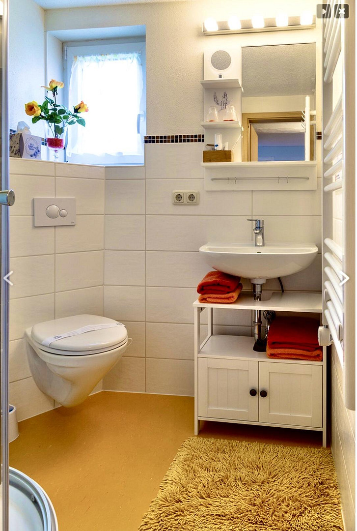 Glücksmühle-ehem. Wassermühle in herrlicher Lage, ohne Provision, kein Denkmalschutz – Schleiz – Vorschaubild 19