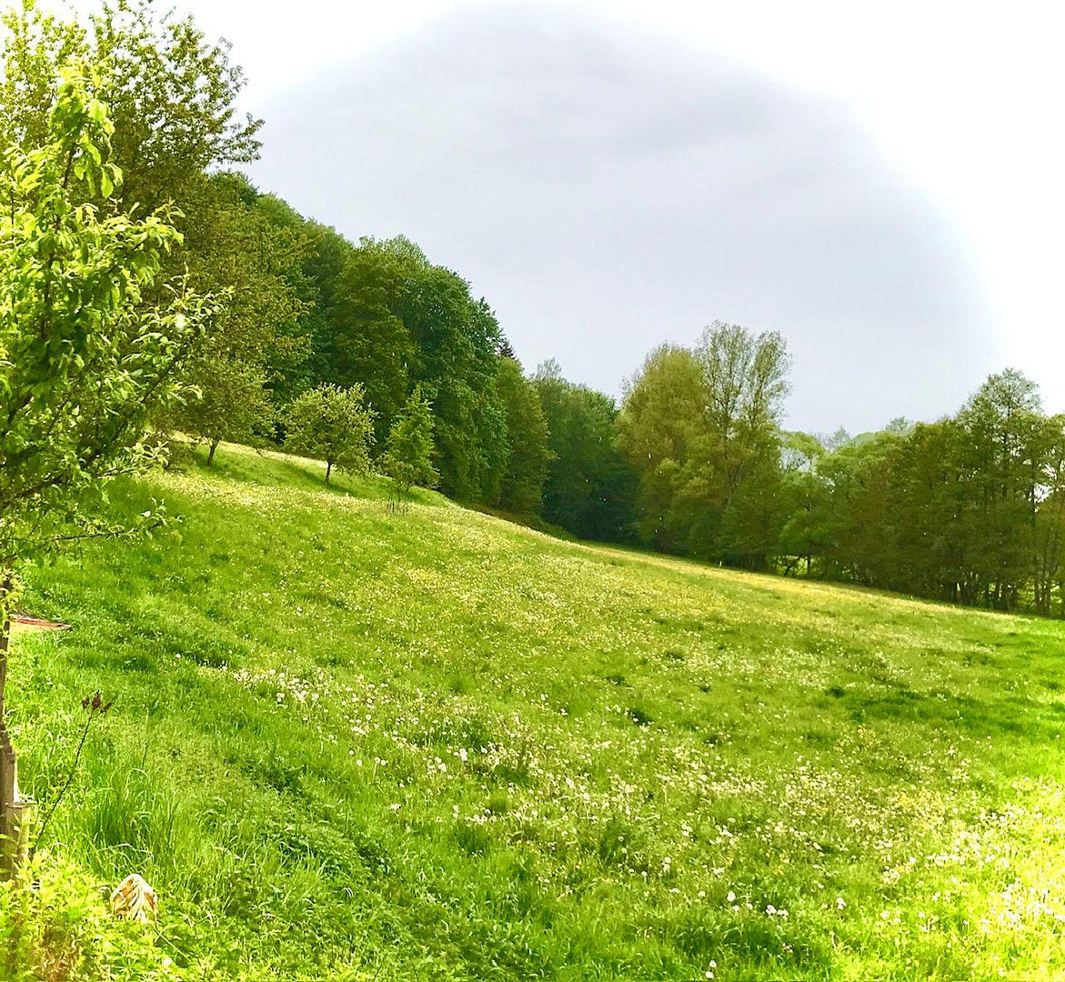 Glücksmühle-ehem. Wassermühle in herrlicher Lage, ohne Provision, kein Denkmalschutz – Schleiz – Vorschaubild 10