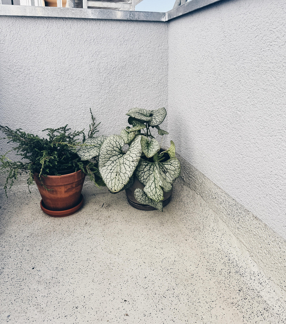 Stilvoll sanierte Altbauwohnung mit Süd-Ausrichtung und Balkon im beliebten Winsviertel – Berlin(Prenzlauer Berg) – Vorschaubild 13