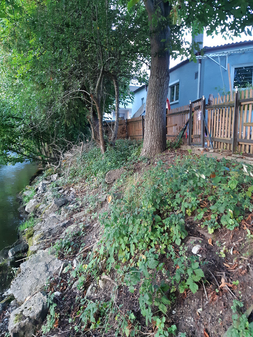 * Das Haus am Fluss * Traumhafte Lage * Wohnen und Arbeiten * – Wolpertswende OT Mochenwangen(Mochenwangen) – Vorschaubild 4