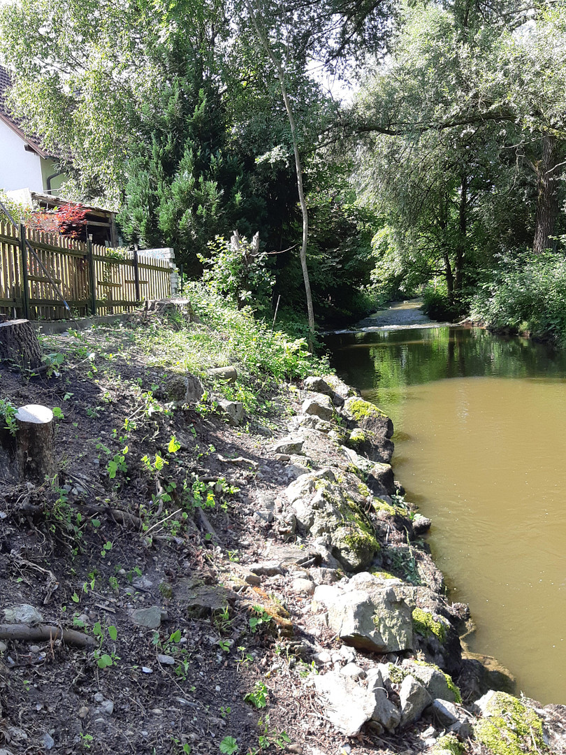 * Das Haus am Fluss * Traumhafte Lage * Wohnen und Arbeiten * – Wolpertswende OT Mochenwangen(Mochenwangen) – Vorschaubild 5