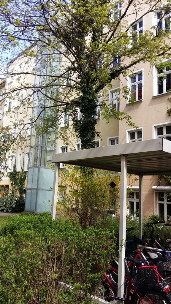 Stilvoll modernisierte Altbauwohnung mit Balkon im beliebten Florakiez – 13187 Berlin(Pankow) – Vorschaubild 14