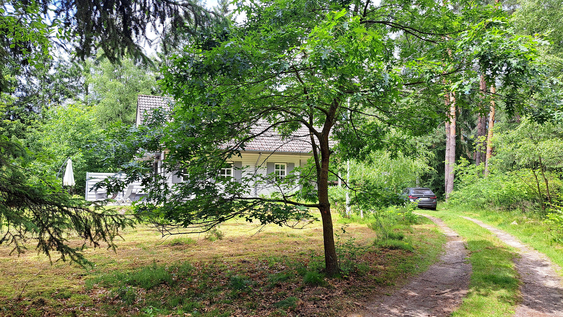 Naturidylle pur auf Waldgrundstück, Nähe Golfplatz St. Dionys – Bardowick – Vorschaubild 5