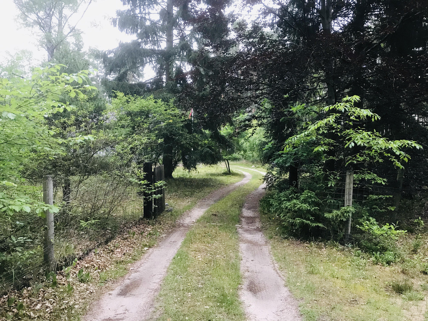 Naturidylle pur auf Waldgrundstück, Nähe Golfplatz St. Dionys – Bardowick – Vorschaubild 15