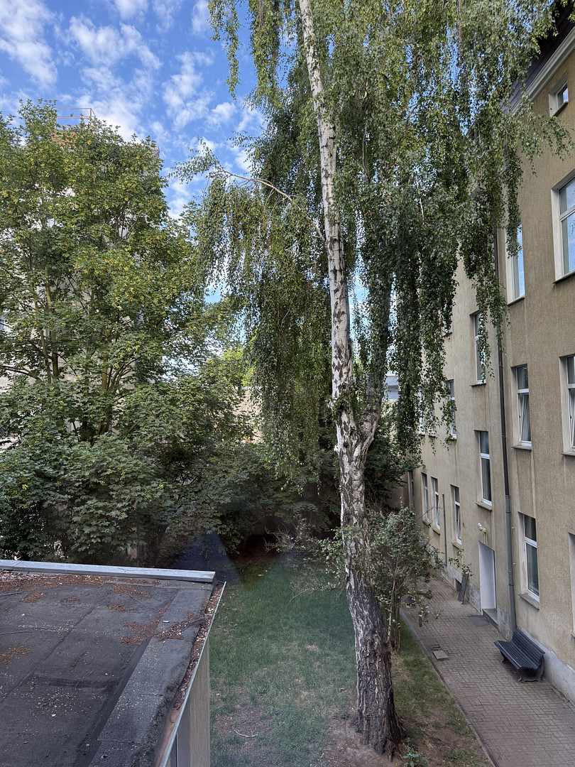 Sarnierte Altbau Wohnung (möbliert) WG 4-5 Personen – Westring 10, 39110 Magdeburg(Stadtfeld) – Vorschaubild 4
