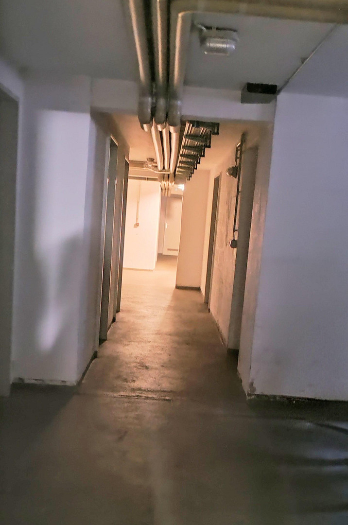 Charmante 3-Zi.- Maisonettewhg, TG-Stellplatz ,Garten, Balkon in grüner Lage von Hamburg Meiendorg – 22145 Hamburg-Meiendorf(Rahlstedt) – Vorschaubild 31