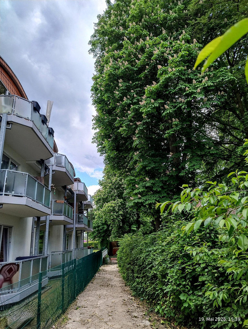 Charmante 3-Zi.- Maisonettewhg, TG-Stellplatz ,Garten, Balkon in grüner Lage von Hamburg Meiendorg – 22145 Hamburg-Meiendorf(Rahlstedt) – Vorschaubild 4