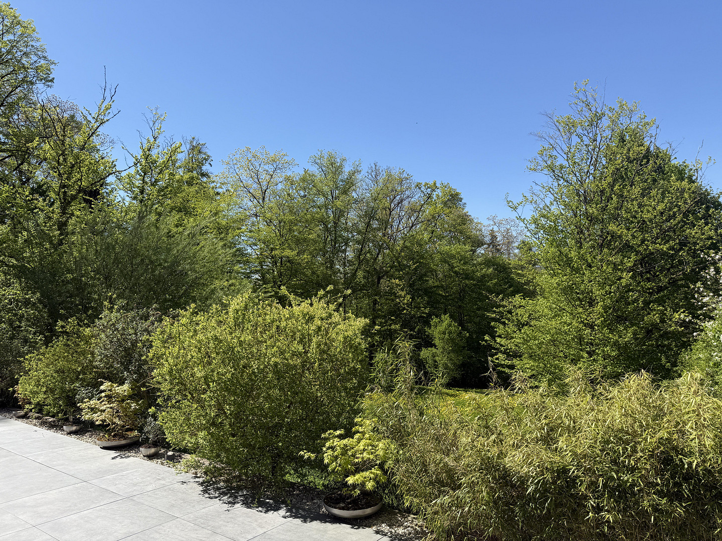Einzigartiges Naturidyll mit hohen Wohnkomfort am Michelsberg – Hersbruck – Vorschaubild 29