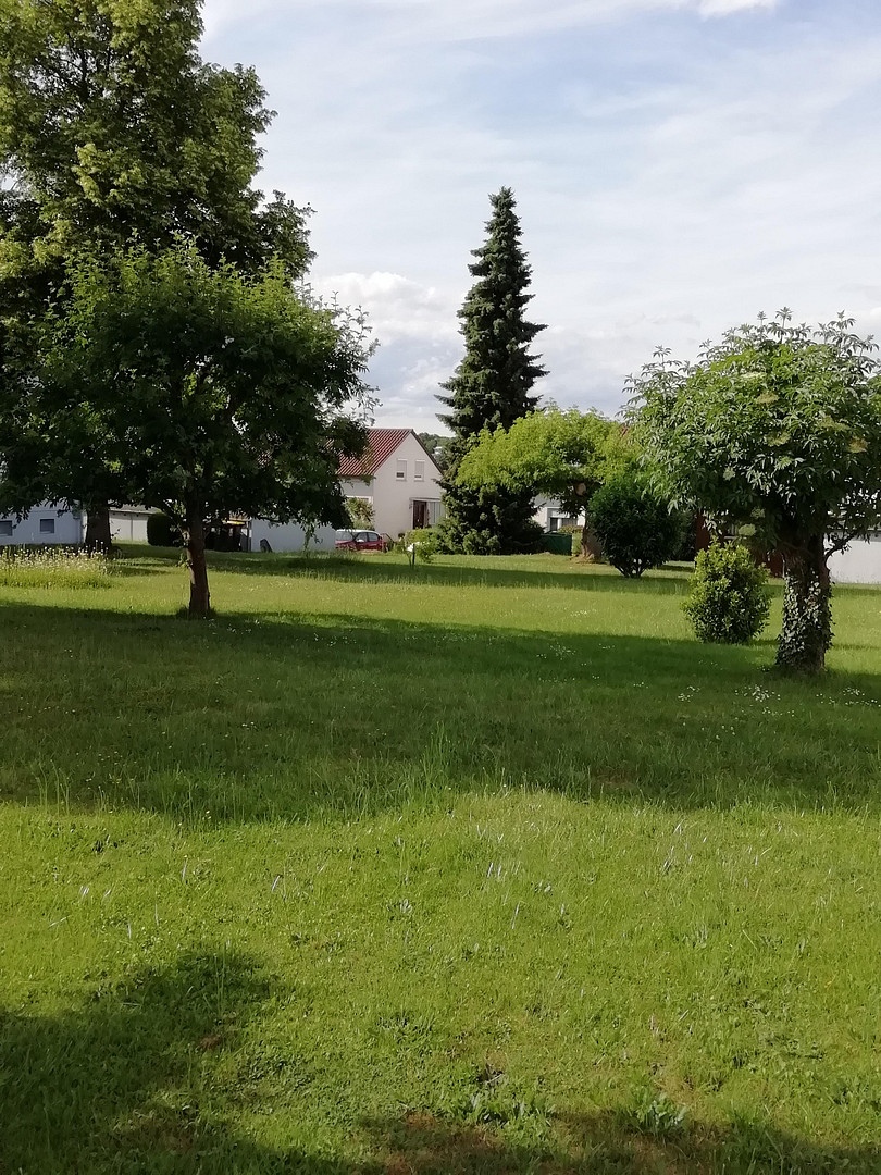 Gemütliche 3-Zimmer-Wohnung in bester Lage in RT-Rommelsbach   PROVISIONSFREI !! – Reutlingen(Rommelsbach) – Vorschaubild 3
