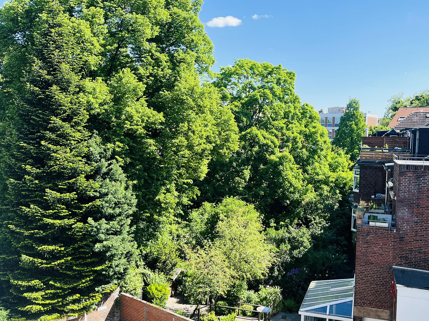 Dachterrasse mit Blick ins Grüne. Ganz oben. Ganz für sich. Ganz ruhig. Mitten im Wasserviertel. – Moselstraße 9, 47051 Duisburg(Altstadt) – Vorschaubild 5