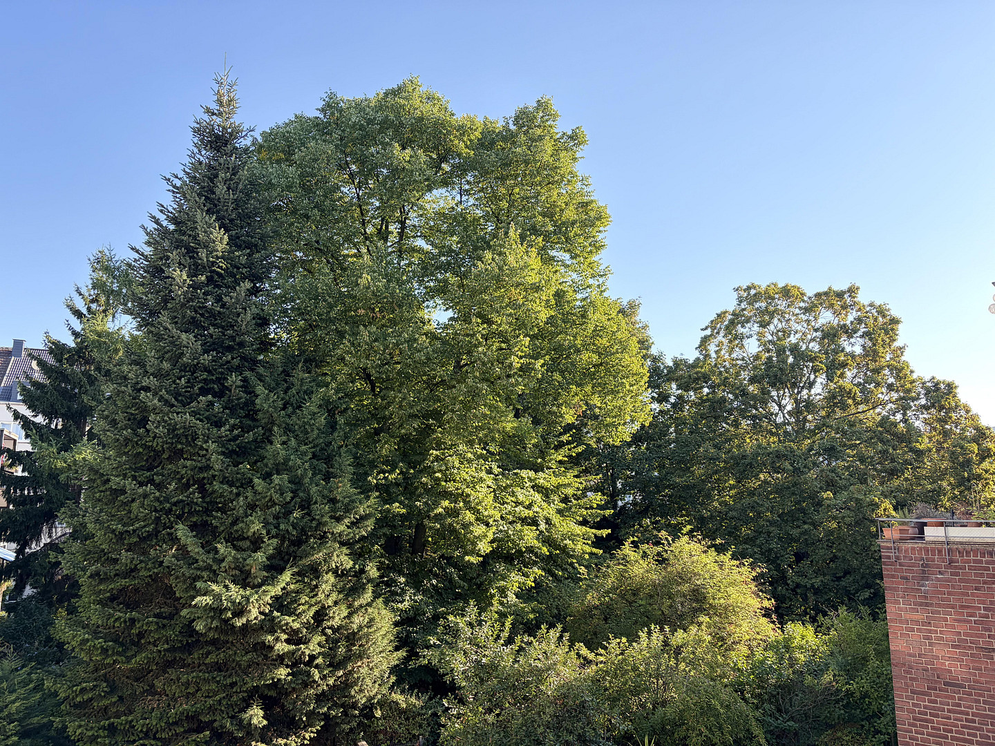 Dachterrasse mit Blick ins Grüne. Ganz oben. Ganz für sich. Ganz ruhig. Mitten im Wasserviertel. – Moselstraße 9, 47051 Duisburg(Altstadt) – Vorschaubild 6