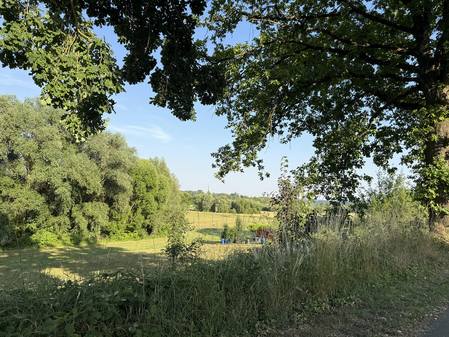Naturnah und gesund leben , ein Traum für Naturliebhaber – Bad Rappenau(Heinsheim) – Vorschaubild 8