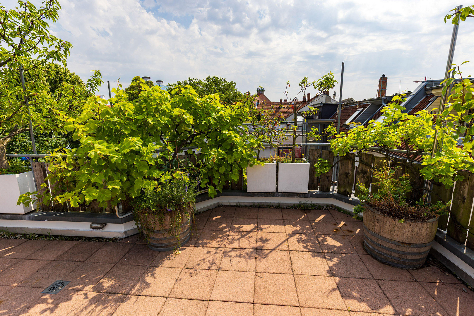 Denkmalgeschützte Maisonette · 137m²· 70 m²Dachterrasse · Aufzug · Bezugsfrei · Leipzig Zentrum-Nord – Ernst-Pinkert-Str. 11, 4105 Leipzig(Zentrum) – Vorschaubild 20